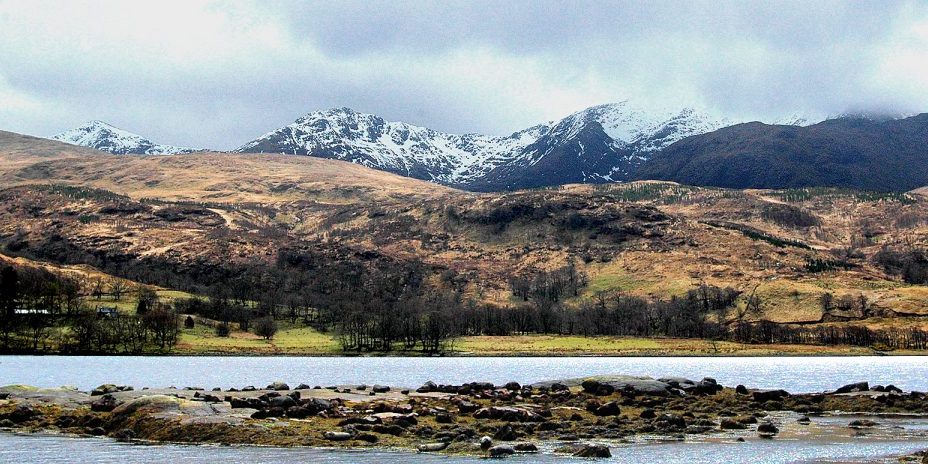 Highland harbour seals on Loch Etive on the west coast of the Highlands of Central Scotland.