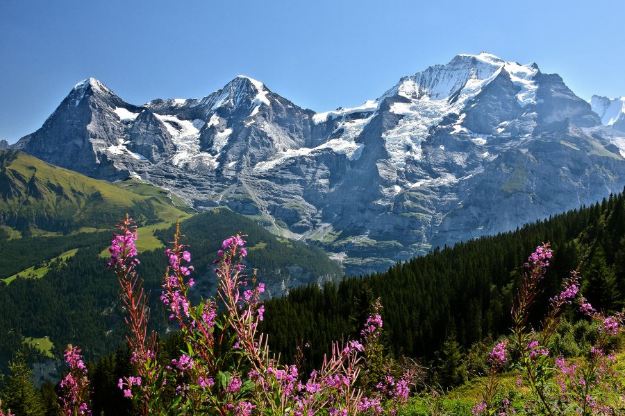 Eiger, Mönch, & Jungfrau — iconic peaks of the Bernese Alps north wall.