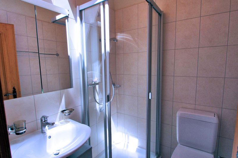 Chalet Altels - West Apt bathroom with shower