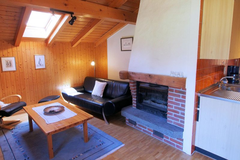 Chalet Altels - West Apt - living room with fireplace and kitchen access