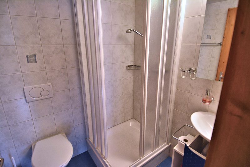 Chalet Balmhorn - Bathroom with shower