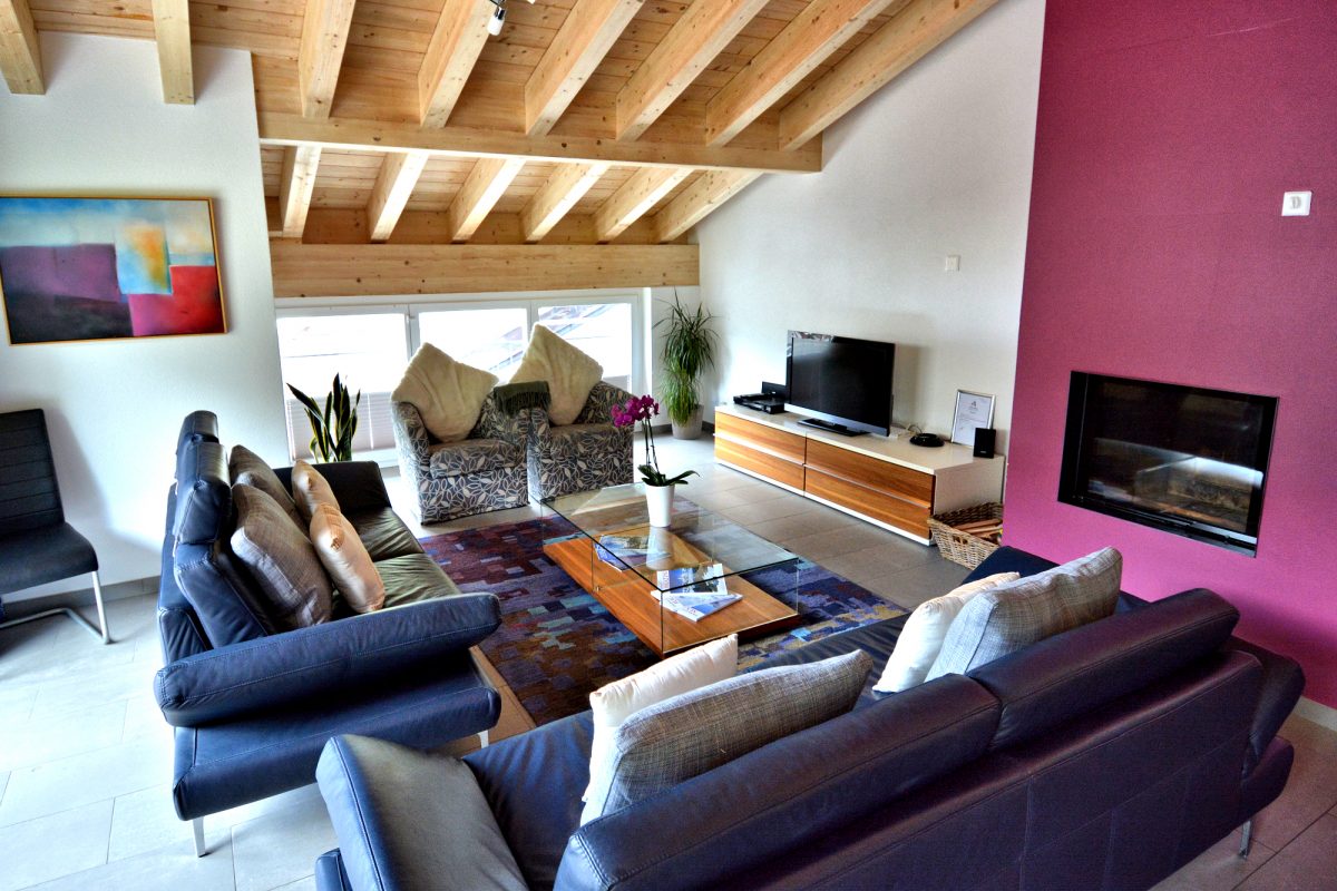 Highview Apt. — Living room with fireplace.