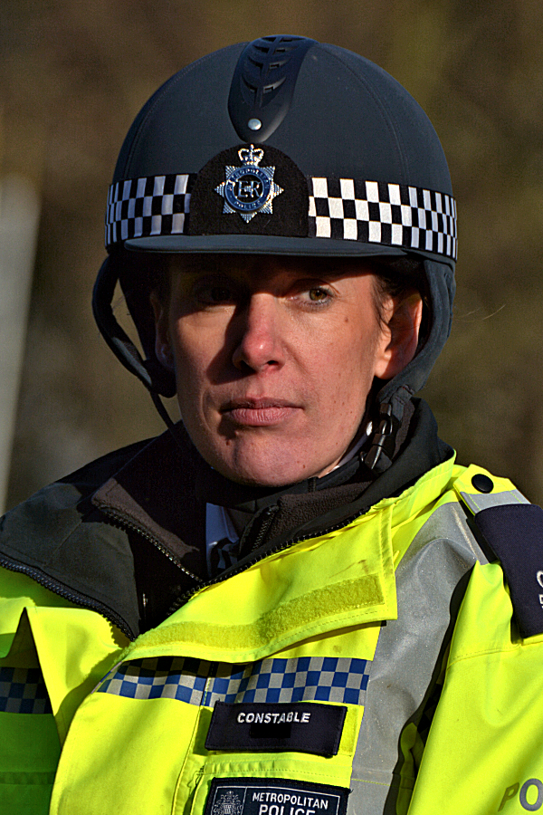 London's Finest: mounted police constable at Buckingham Palace.