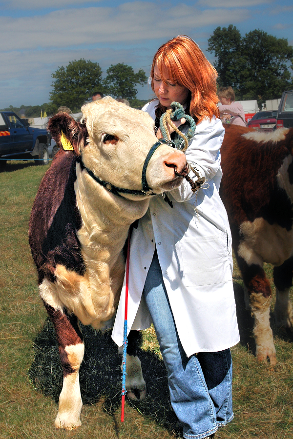 Colleen with prize-winning Hereford at the North Tipperary Agricultural Show.