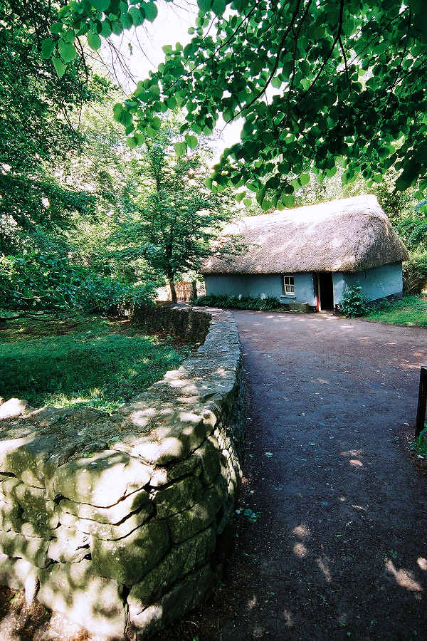 Co. Clare: thatched cottage in the wood at Bunratty Folk Park, where Ireland's past still lives.