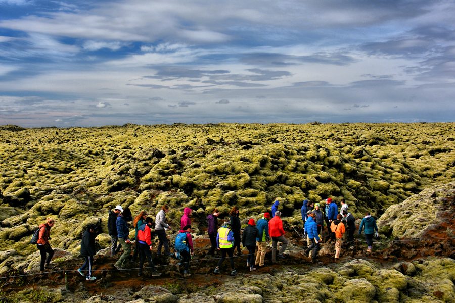 Iceland Landscapes: Eldhraun lava field - group guided in fragile field of moss-covered lava pillows. Photo © Home At First.
