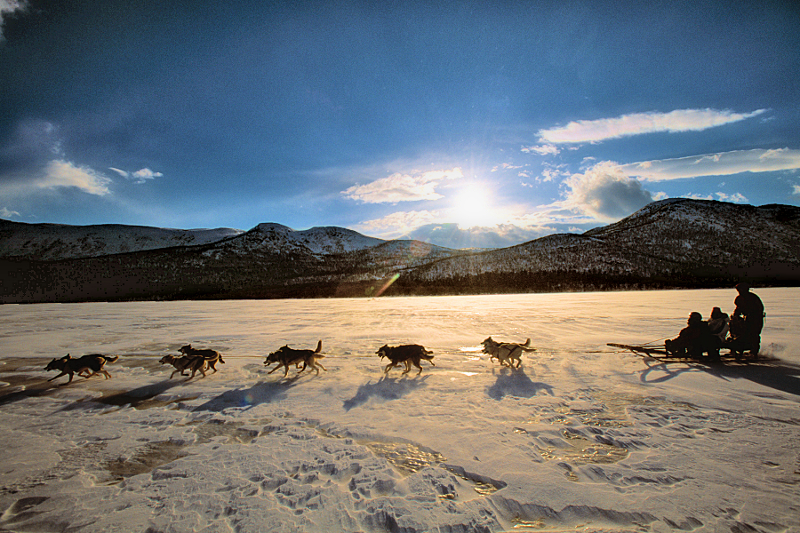 Norrbotten: Dog sledding near Jokkmokk. Photo 1593 credit Staffan Widstrand/imagebank.sweden.se