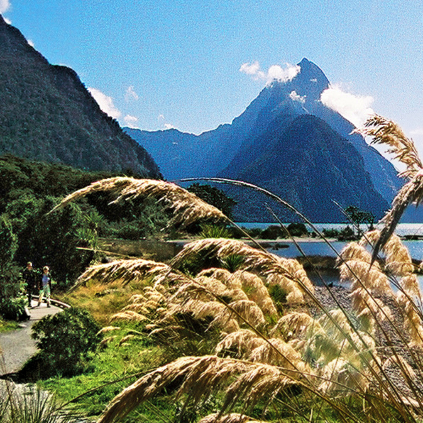 Home At First does custom, independent, international travel to New Zealand! Home At First does custom, independent, international travel to New Zealand!