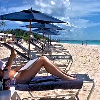 Home At First does custom, independent, international travel to Bermuda! Home At First does custom, independent, international travel to Bermuda!