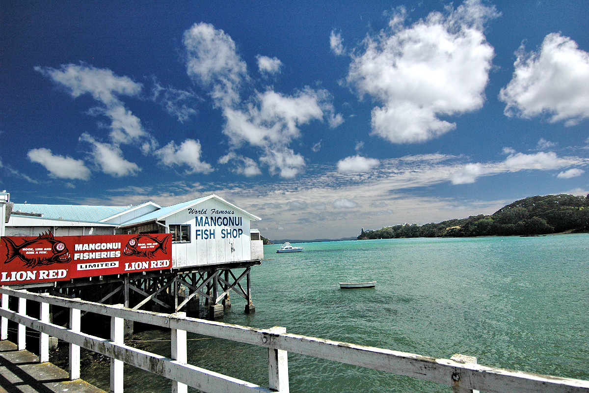 Northland: World Famous Mangonui Fish Shop. Photo © Home At First.
