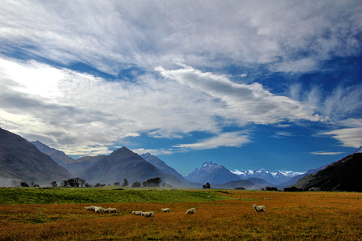 Queenstown Region: Paradise valley and Southern Alps. Photo © Home At First.