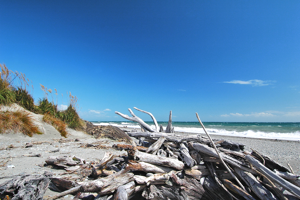 Westland: Driftwood beach on the Tasman Sea. Photo © Home At First.
