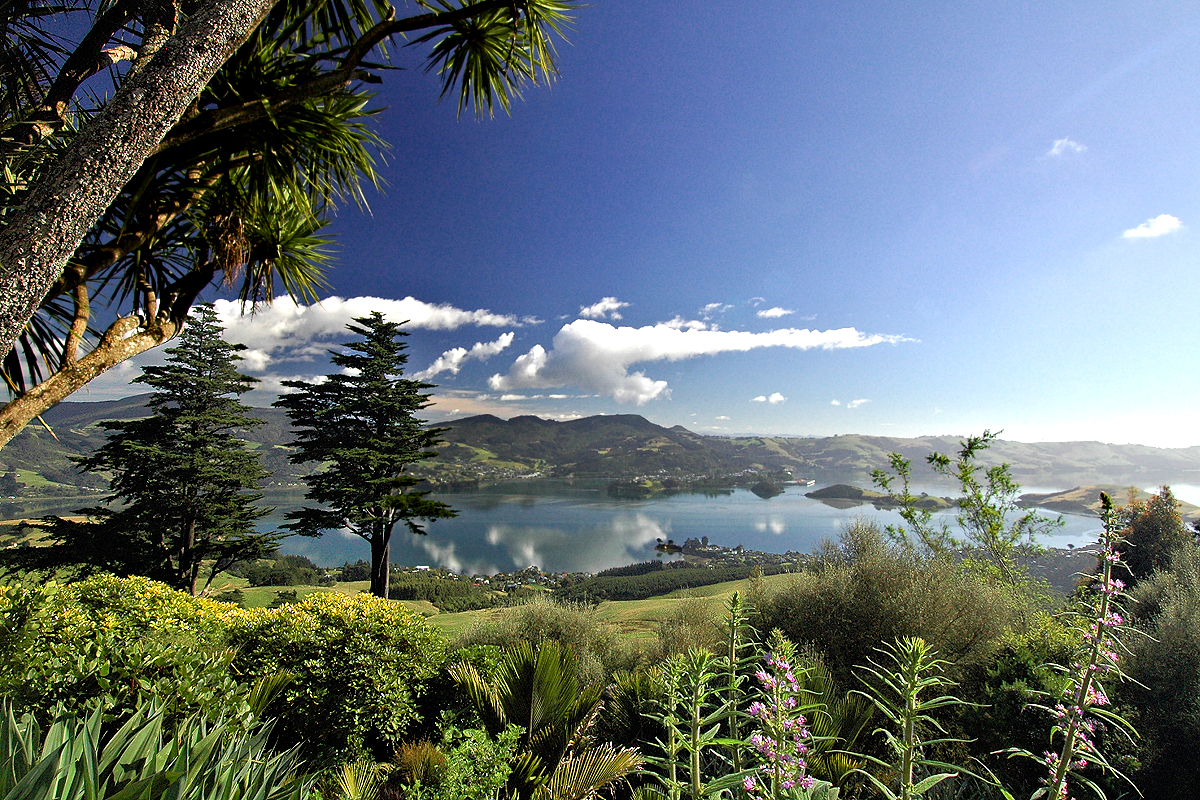 South Island: Dunedin Region - Otago Harbor from Broad Bay to Sawyers Bay. Photo © Home At First.