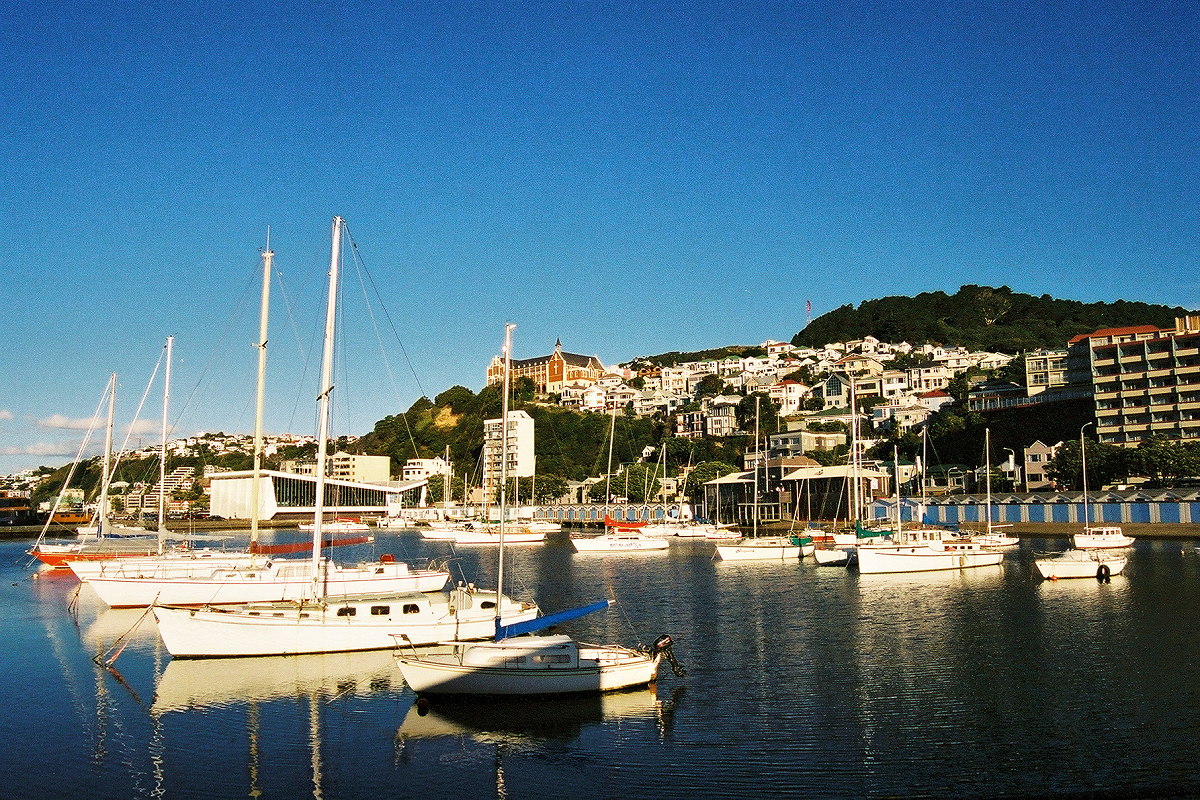 Wellington: sailboats moored at Lambton Quay. Photo © Home At First.