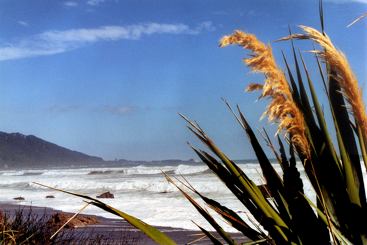 Westland: The Tasman Sea whipped white near Punakaiki. Photo © Home At First.