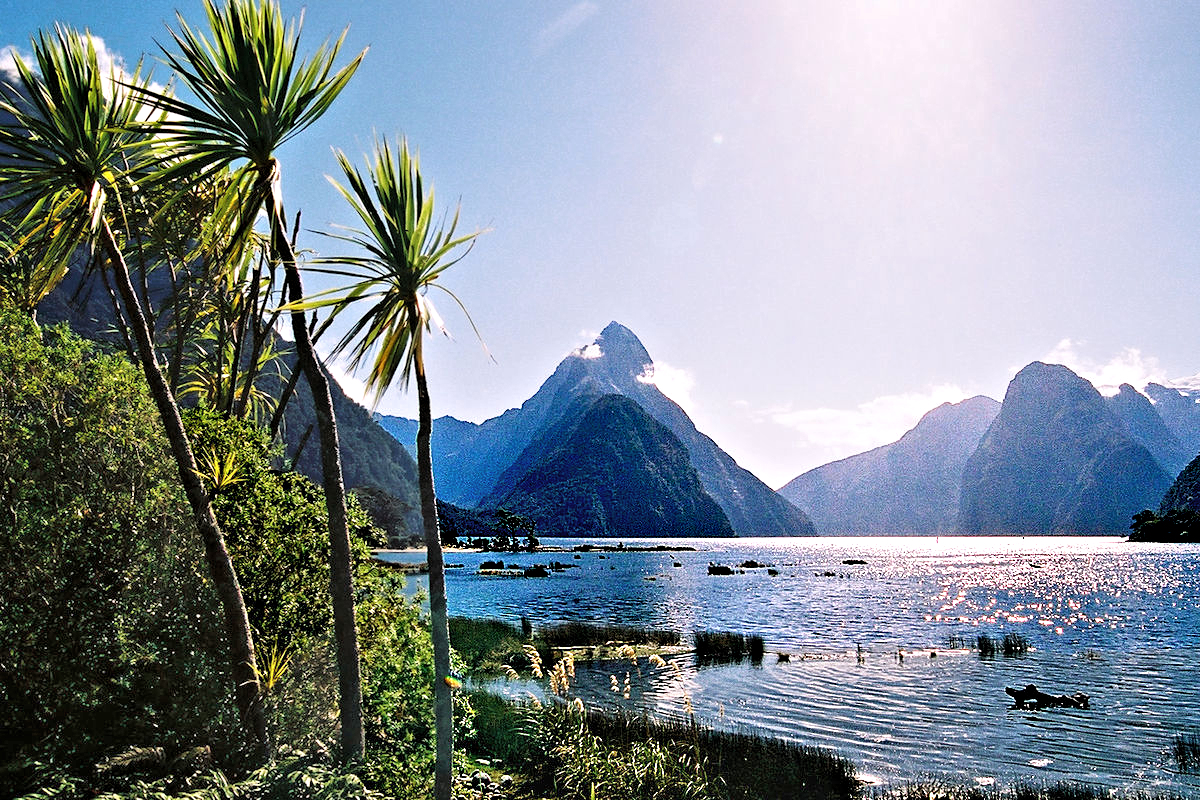 Fiordland - Milford Sound shore w. palms and Mitre Peak. Photo © Home At First.