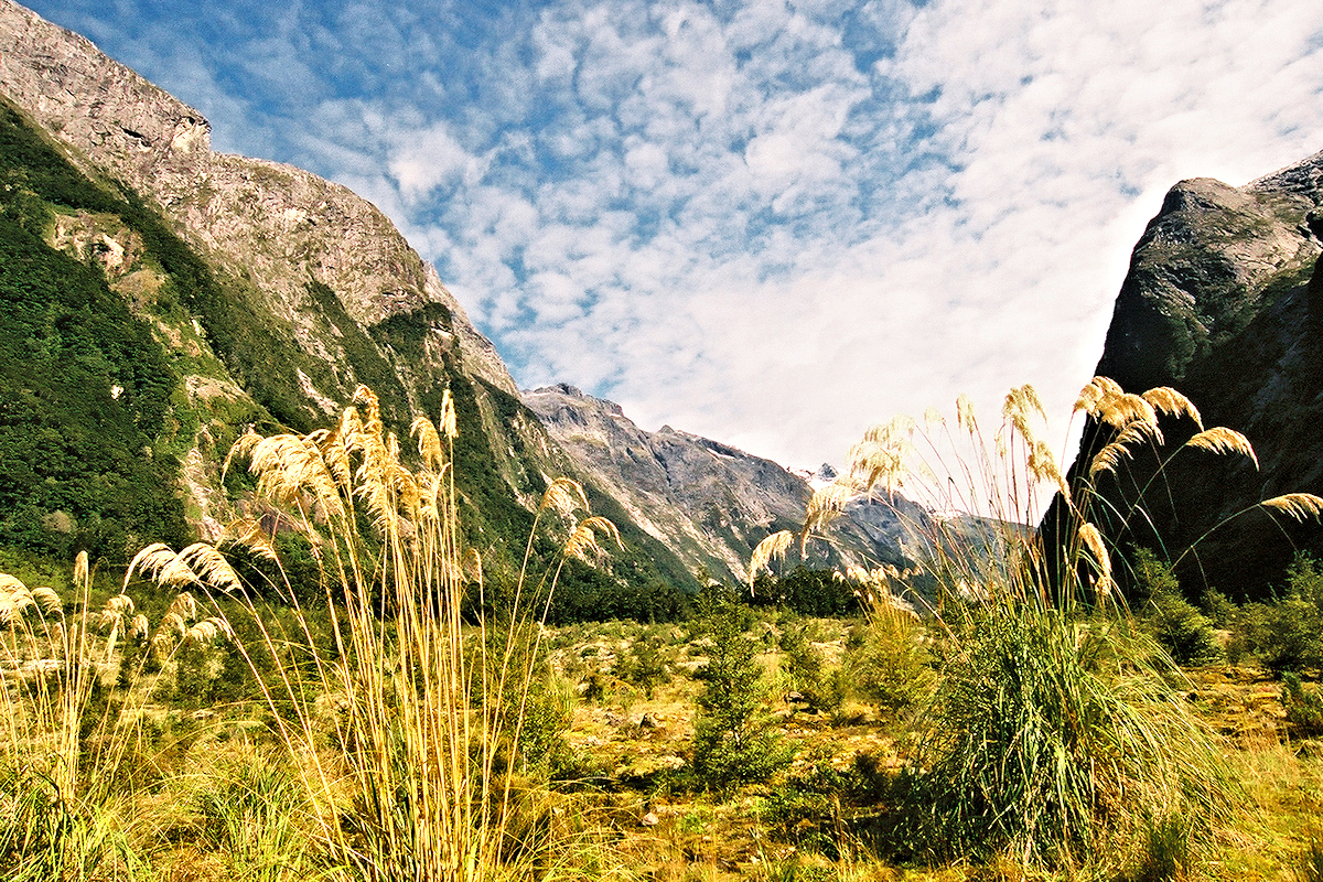 Fiordland - Milford Track - Clinton Valley. Photo © Home At First.