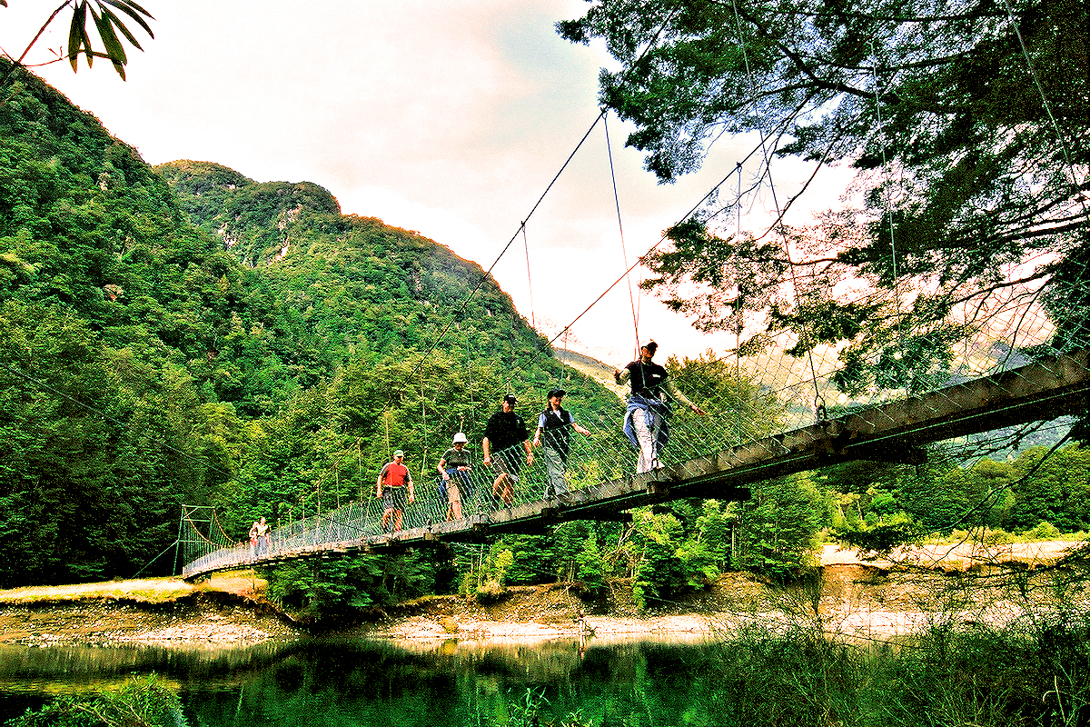 Fiordland - Milford Track swing bridge. Photo © Home At First.