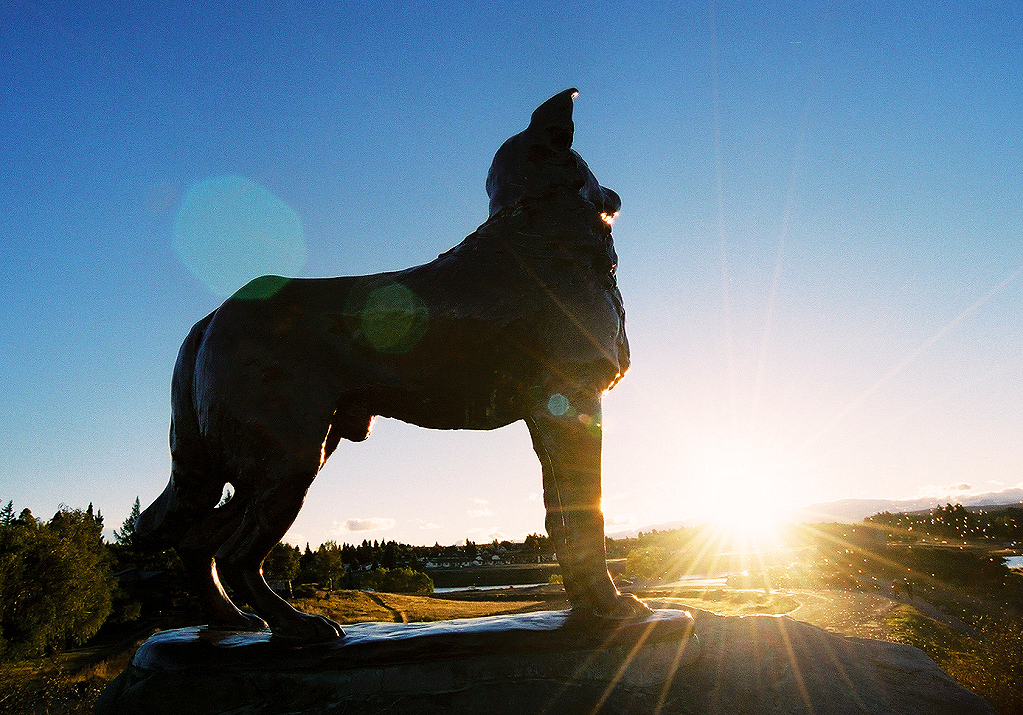 Mackenzie Country - Lake Tekapo - Scottish Collie Sheepdog Statue. Photo © Home At First.