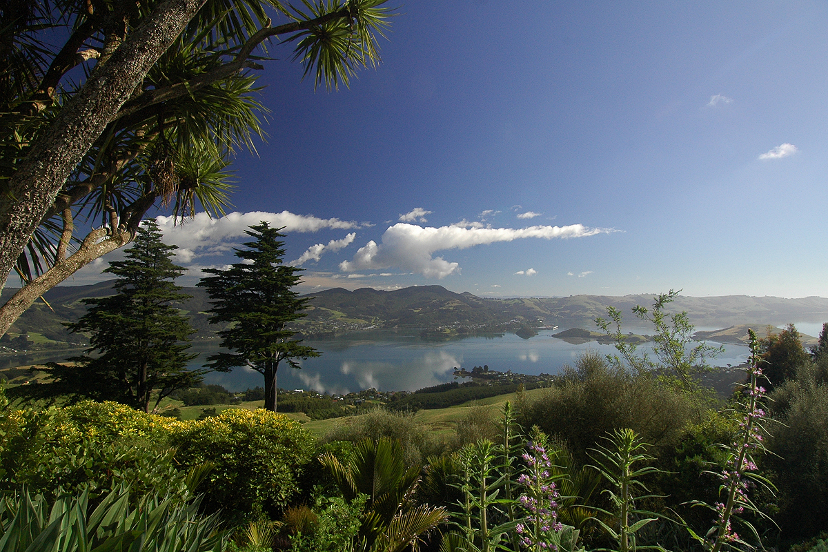 East Coast: Dunedin - Otago Peninsula - 13-mile-long Dunedin Harbour. Photo © Home At First.