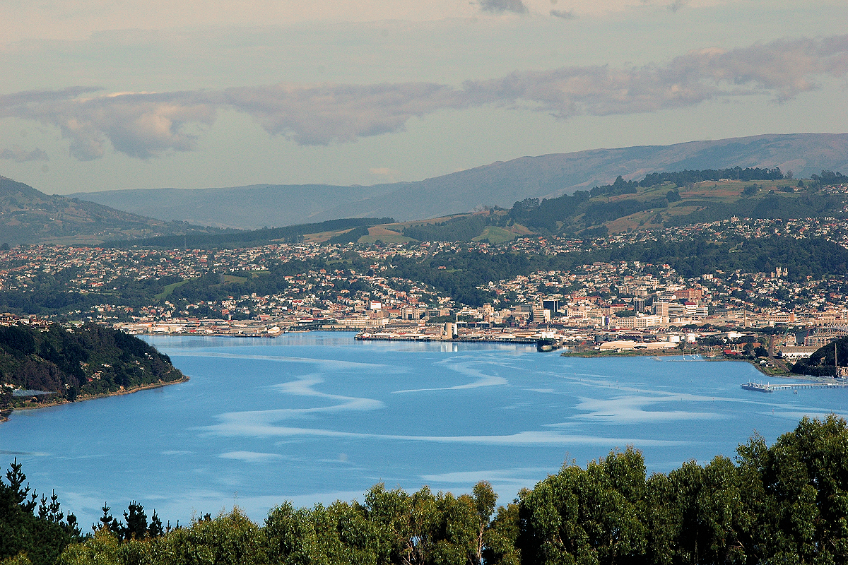 East Coast: Dunedin city viewed from Larnach Castle. Photo © Home At First.