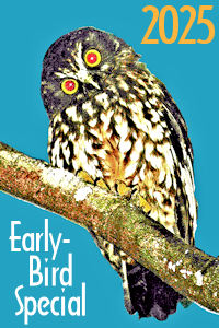 Early-Birds Travel in 2025 for 2024 Prices! Early-Birds Travel in 2025 for 2024 Prices!