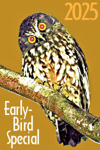 Early-Birds Get the Best Selection! Early-Birds Get the Best Selection!