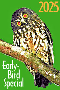 2025 EARLY-BIRD SPECIAL! 2025 EARLY-BIRD SPECIAL!