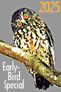 Early-Birds Lock-in 2024 Rates for 2025 Travel! Early-Birds Lock-in 2024 Rates for 2025 Travel!