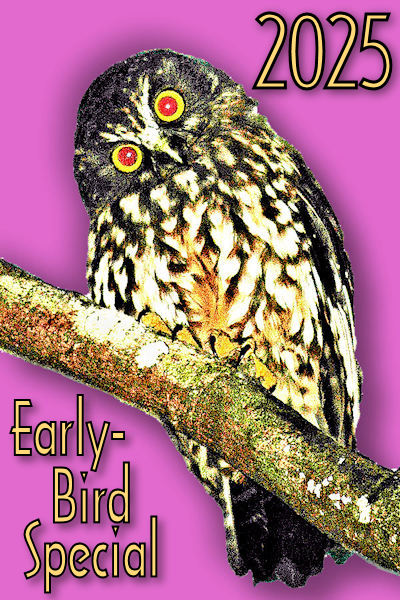 Early-Birds avoid 2025 price increases!