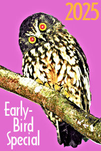 Early-Birds avoid 2025 price increases! Early-Birds avoid 2025 price increases!