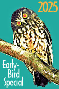 2025 Early-Birds get the best choices & at 2024 rates! 2025 Early-Birds get the best choices & at 2024 rates!