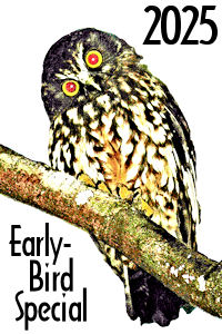 EARLY-BIRDS are at the FRONT of the LINE! EARLY-BIRDS are at the FRONT of the LINE!